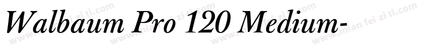 Walbaum Pro 120 Medium字体转换
